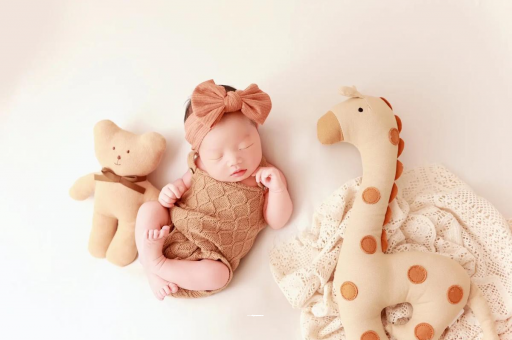 借卵生子咨询促进宝宝大脑发育 借卵生子咨询促进宝宝大脑发育